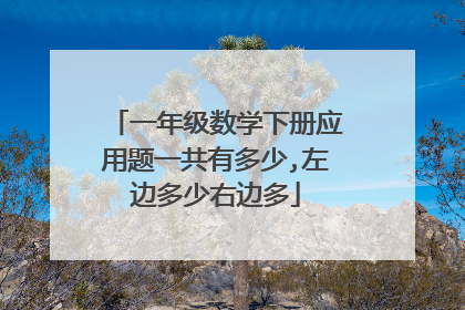一年级数学下册应用题一共有多少,左边多少右边多