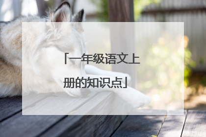 一年级语文上册的知识点