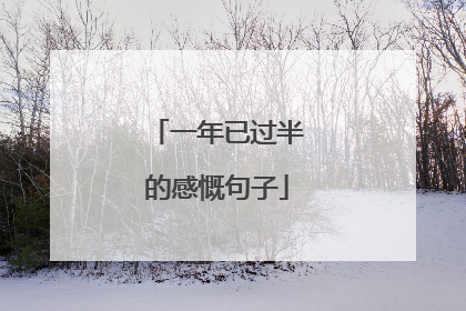 一年已过半的感慨句子
