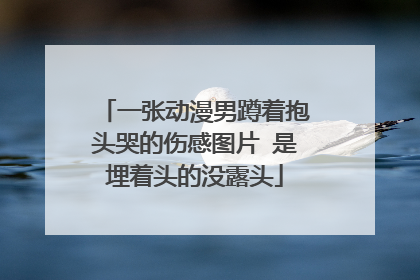 一张动漫男蹲着抱头哭的伤感图片 是埋着头的没露头
