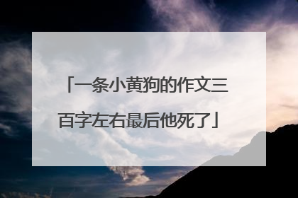 一条小黄狗的作文三百字左右最后他死了