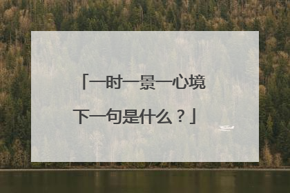 一时一景一心境下一句是什么？