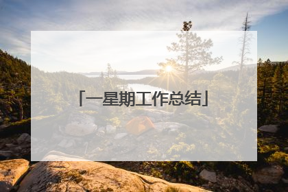 一星期工作总结