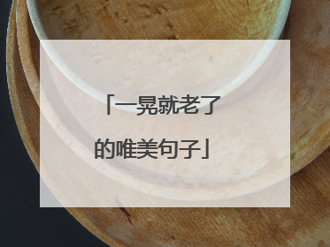 一晃就老了的唯美句子