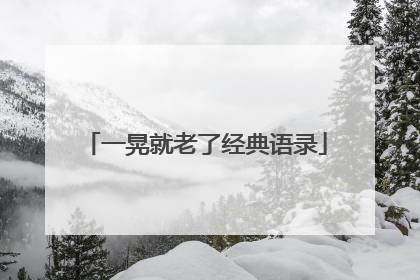一晃就老了经典语录