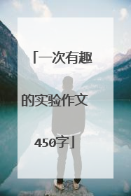 一次有趣的实验作文450字