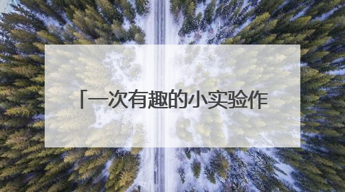 一次有趣的小实验作文300字怎么写