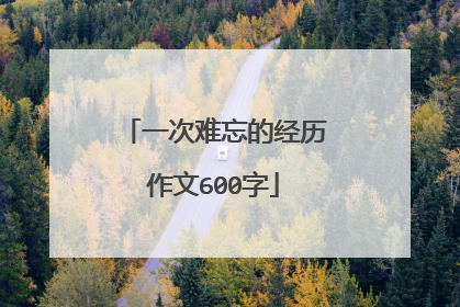 一次难忘的经历作文600字