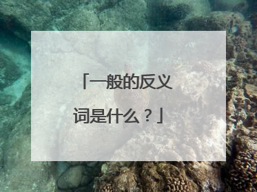 一般的反义词是什么?