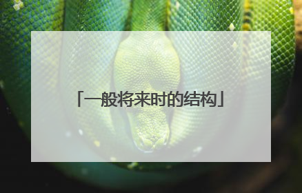 一般将来时的结构