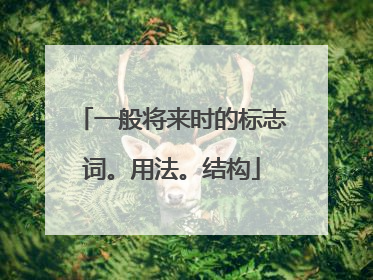 一般将来时的标志词。用法。结构