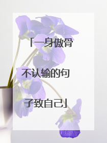 一身傲骨不认输的句子致自己