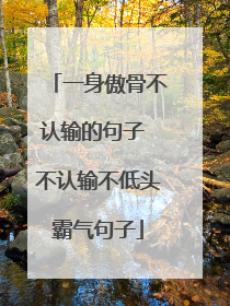 一身傲骨不认输的句子 不认输不低头霸气句子