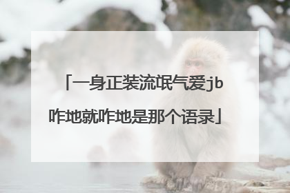 一身正装流氓气爱jb咋地就咋地是那个语录