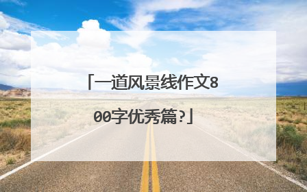 一道风景线作文800字优秀篇?