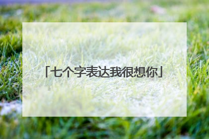 七个字表达我很想你
