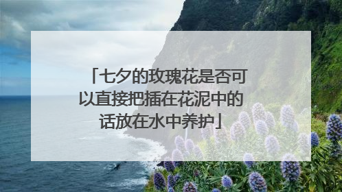 七夕的玫瑰花是否可以直接把插在花泥中的话放在水中养护