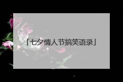七夕情人节搞笑语录