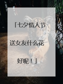 七夕情人节送女友什么花好呢！