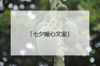 七夕暖心文案