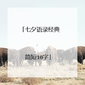 七夕语录经典简短10字
