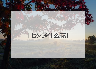 七夕送什么花