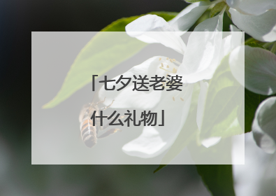 七夕送老婆什么礼物