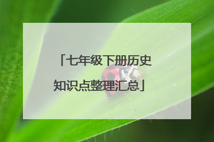 七年级下册历史知识点整理汇总