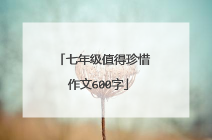 七年级值得珍惜作文600字