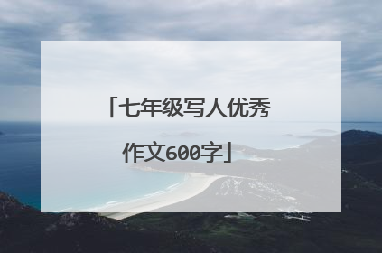 七年级写人优秀作文600字
