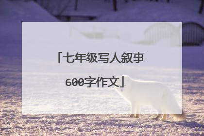 七年级写人叙事600字作文