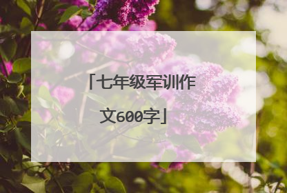 七年级军训作文600字