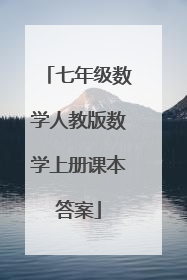七年级数学人教版数学上册课本答案