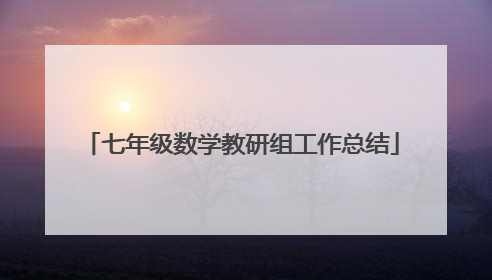 七年级数学教研组工作总结