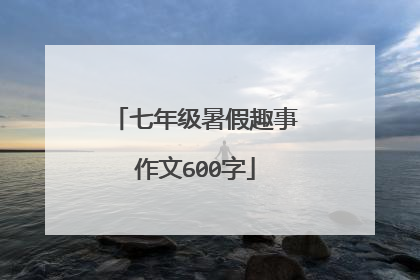 七年级暑假趣事作文600字