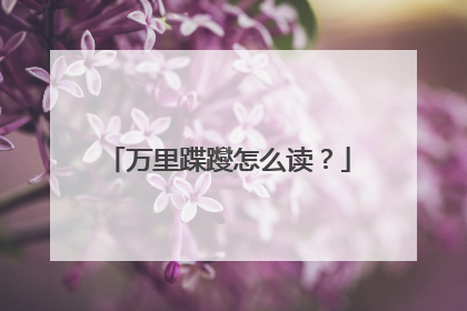 万里蹀躞怎么读？