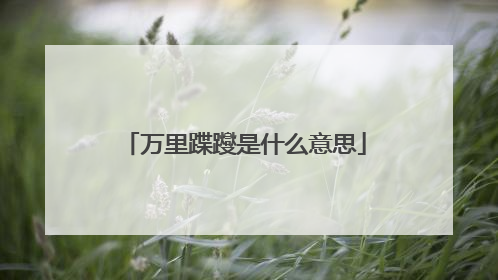 万里蹀躞是什么意思