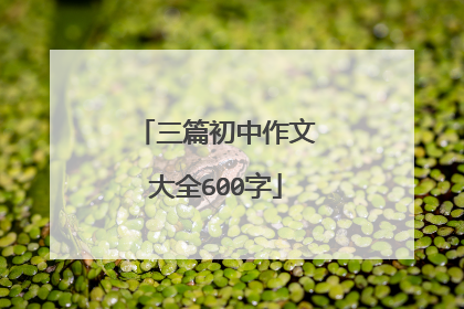 三篇初中作文大全600字