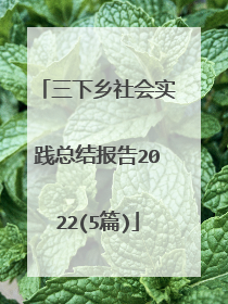 三下乡社会实践总结报告2022(5篇)