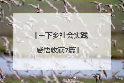三下乡社会实践感悟收获7篇