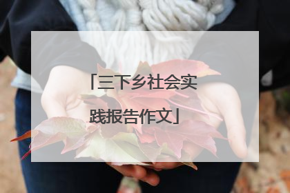 三下乡社会实践报告作文