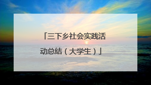 三下乡社会实践活动总结（大学生）