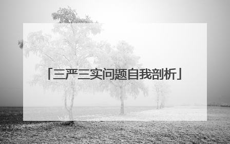 三严三实问题自我剖析