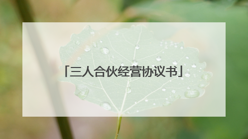 三人合伙经营协议书