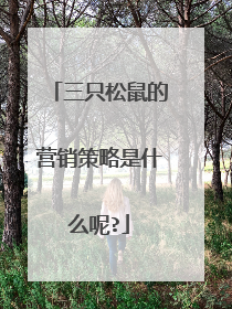 三只松鼠的营销策略是什么呢?
