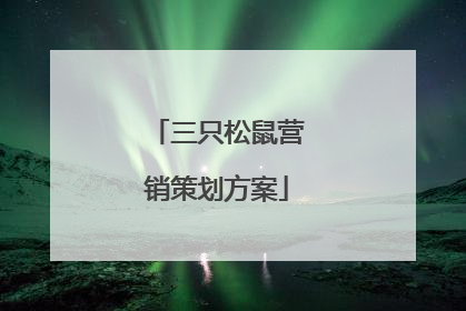 三只松鼠营销策划方案