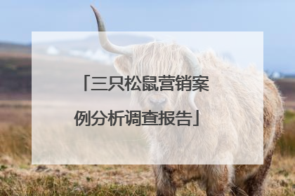 三只松鼠营销案例分析调查报告