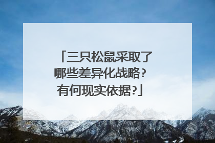三只松鼠采取了哪些差异化战略?有何现实依据?