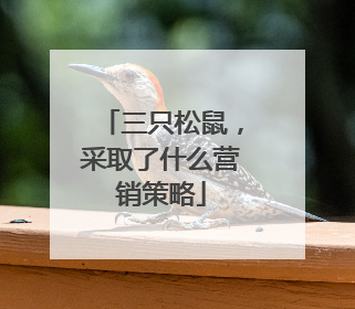 三只松鼠，采取了什么营销策略