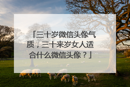 三十岁微信头像气质,三十来岁女人适合什么微信头像?